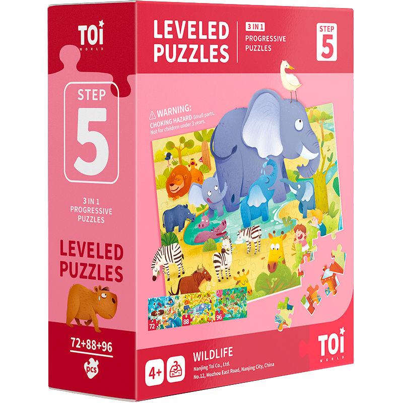 TOI Level Puzzles Series