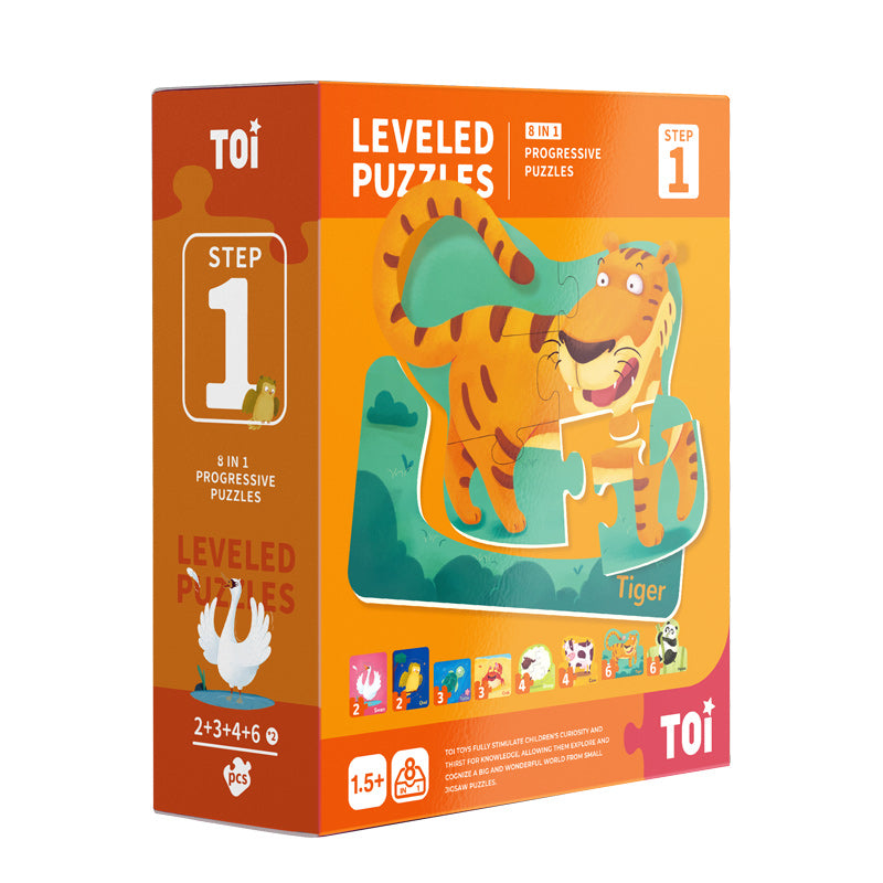 TOI Level Puzzles Series