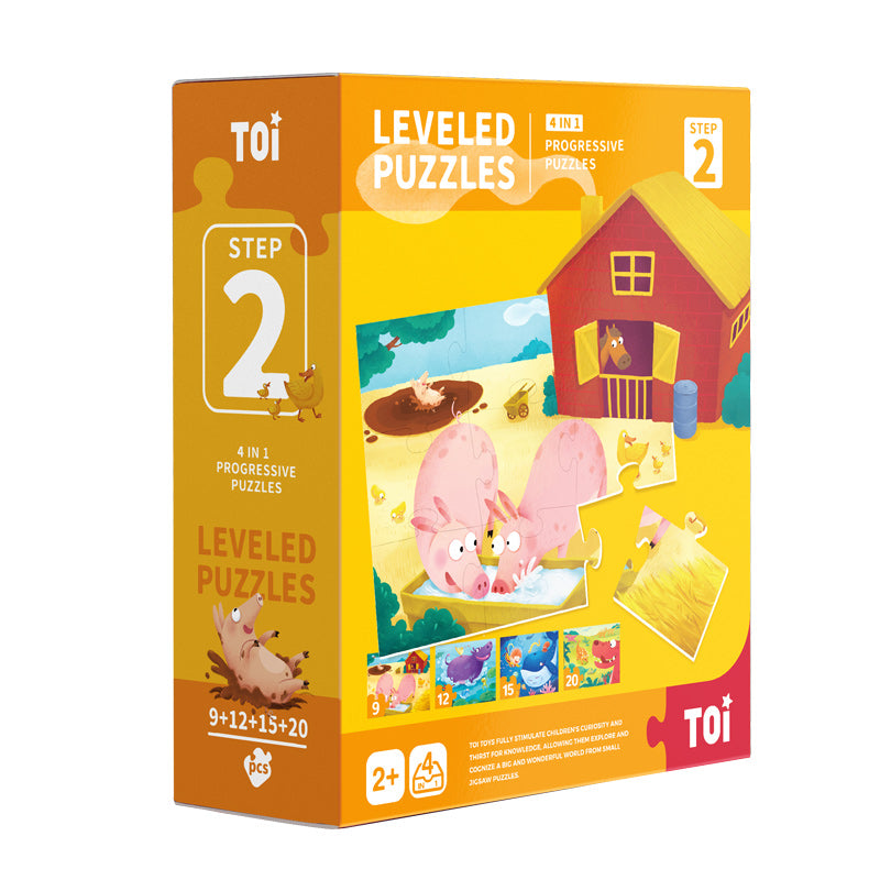 TOI Level Puzzles Series