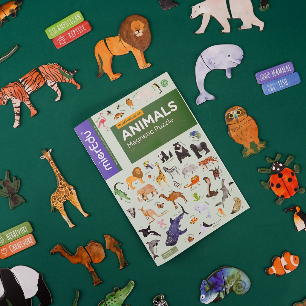 Magnetic Puzzle - All About Animals small